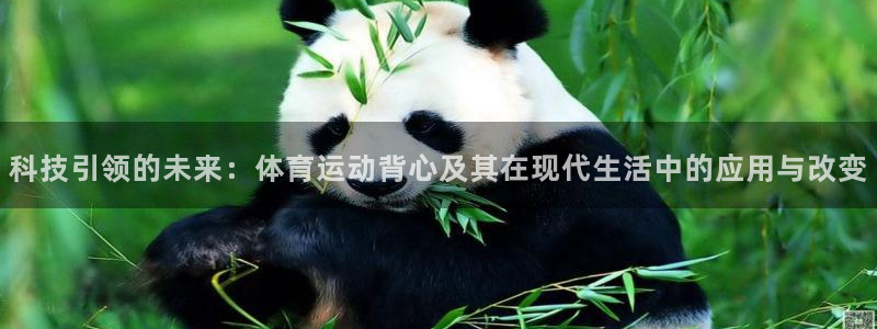 vsport体育官网下载招商电话地址:科技引领的未来:体育运